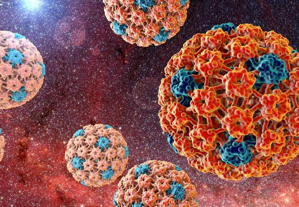 HPV-Infektion: der heimtückische Papillomavirus